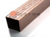 304彩色乐鱼官网登录_乐鱼(中国)管逐渐成为家装的新宠，势头迅猛
